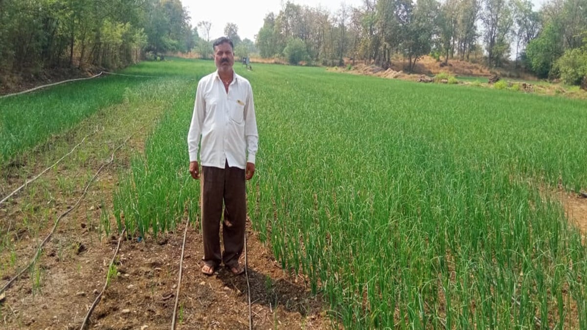 Farmers, onion , Shahapur, Malanggad, loksatta news,