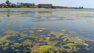 Namami Chandrabhaga, Chandrabhaga ,