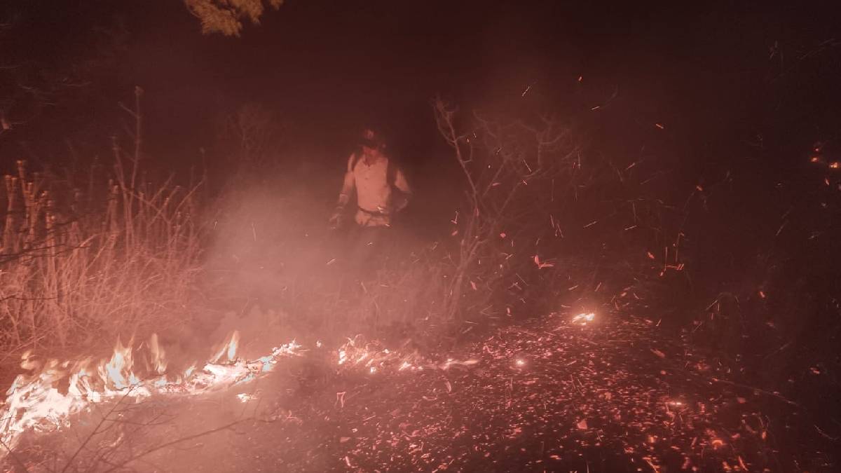 Wildfire on Budhlya mountain near Manmad suspect to keep leopards away nashik district