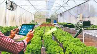 artificial intelligence in the agriculture sector