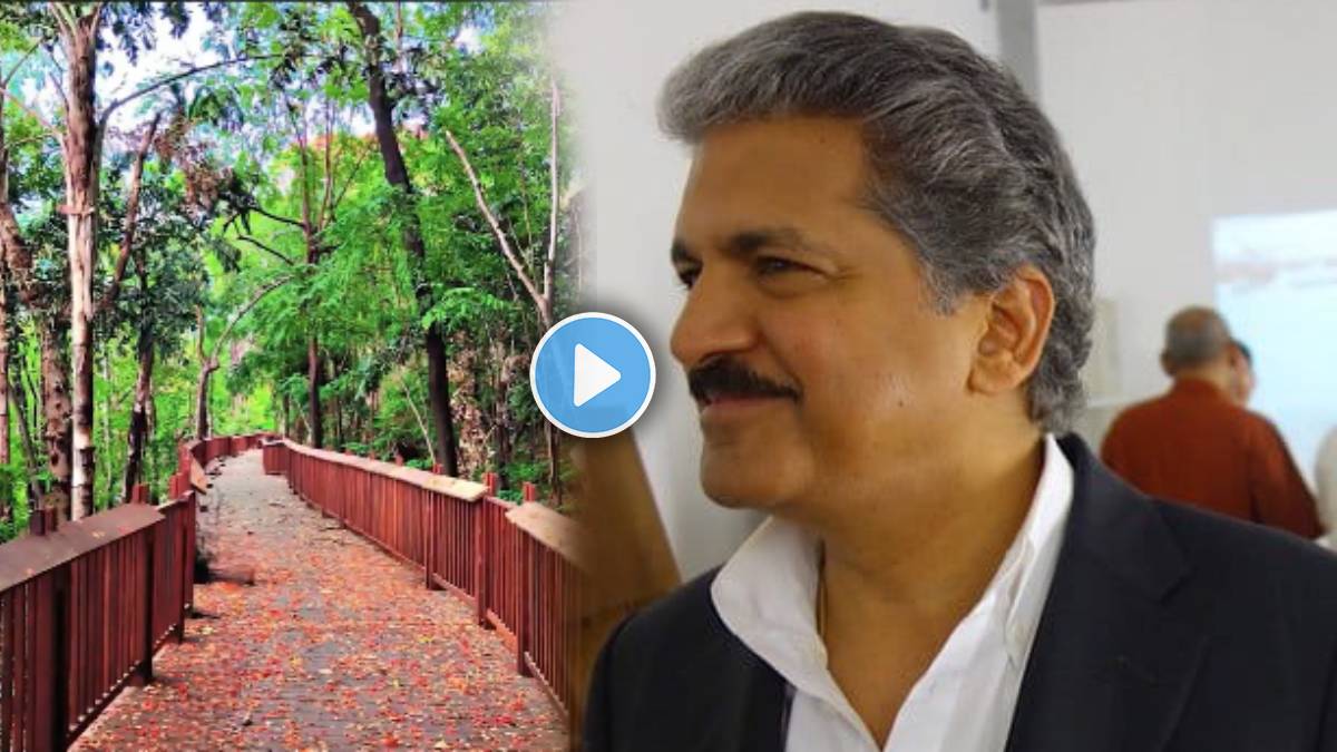 anand mahindra excited to see elevated nature trail