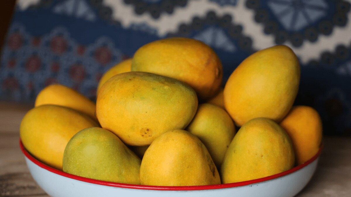 artificially ripened mangoes