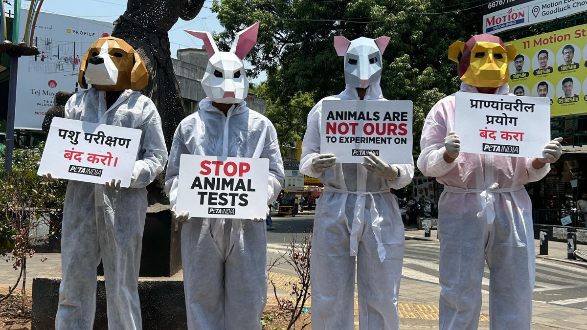 Stop doing experiments on animals raise awareness by wearing animal masks