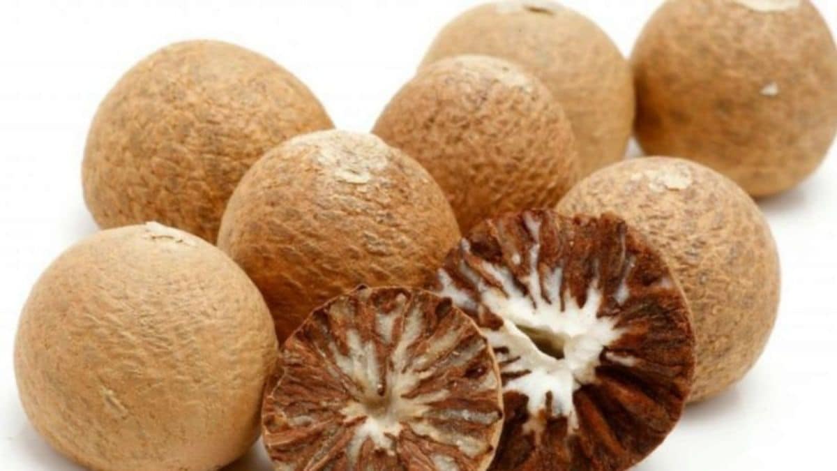 daily turnover of betel nut in Latur market is around Rs 2.50 crore