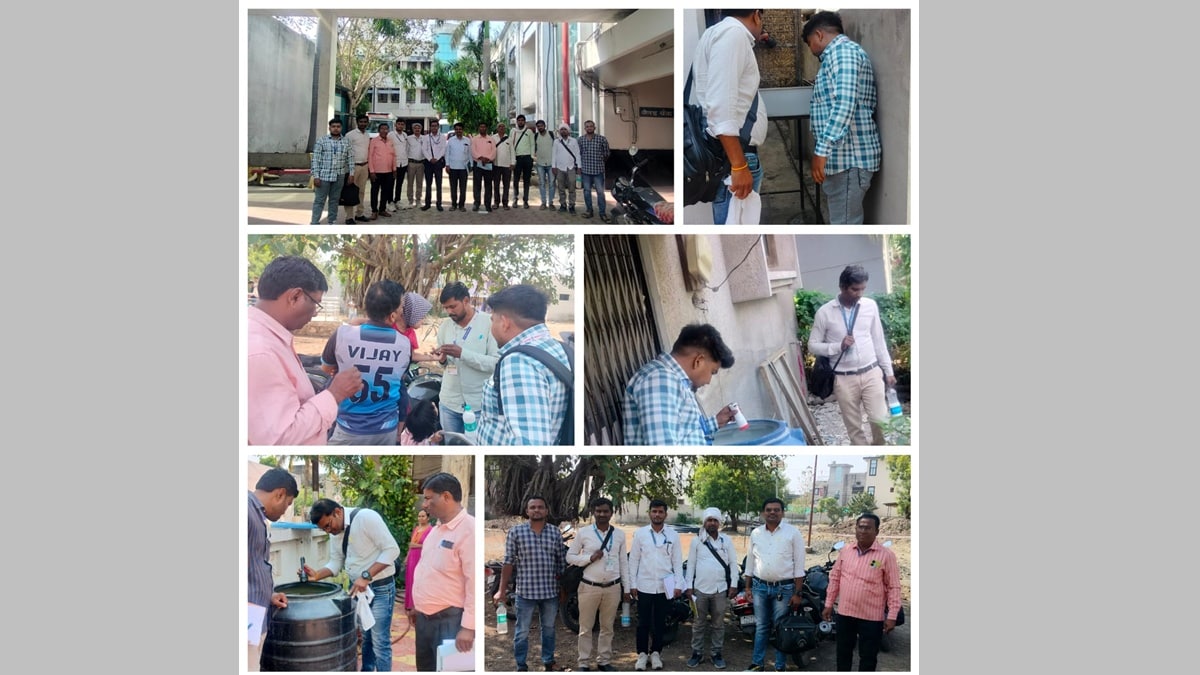 encephalitis buldhana news