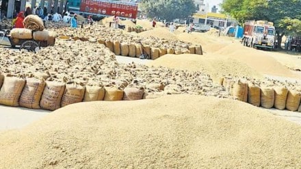 gadchiroli scam loksatta