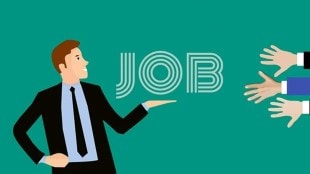 company job career article