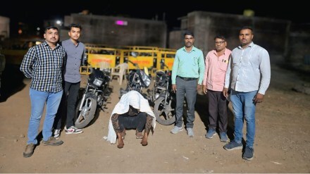buldhana two wheeler thieves