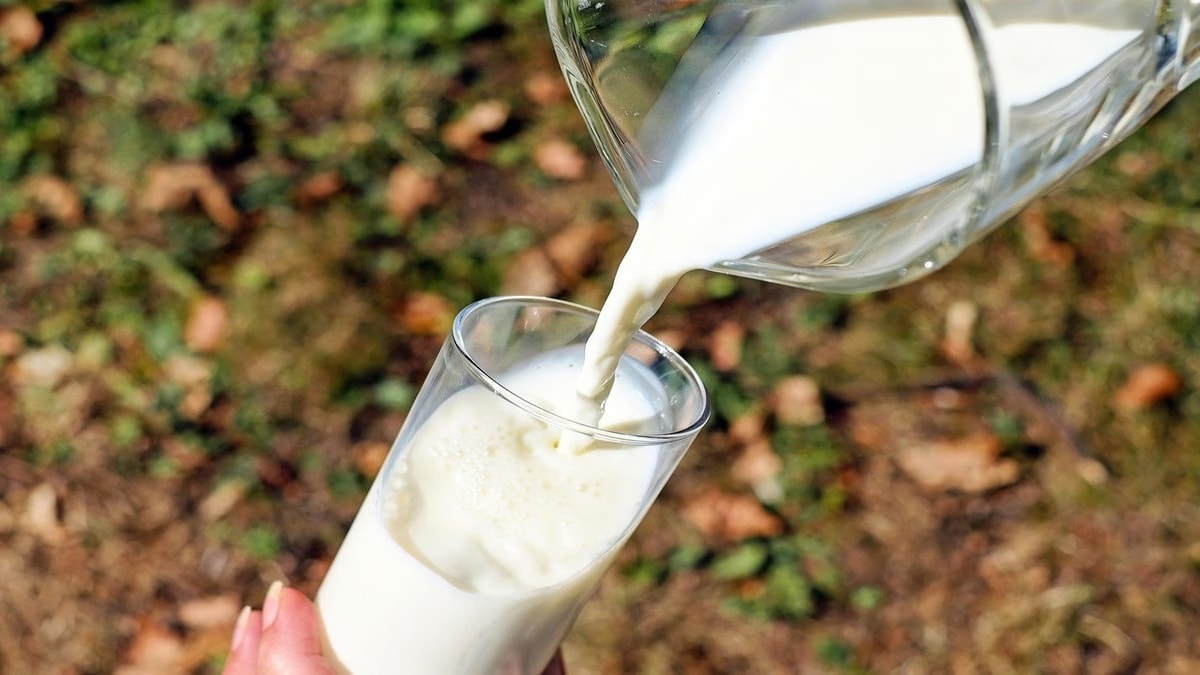 milk adulteration Pandharpur