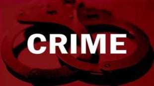 Cases registered against seventeen people who provided false information to obtain certificates