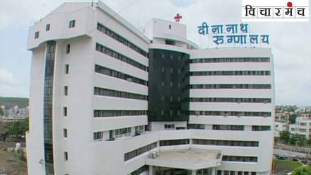 privatization and corporatization in medical sector