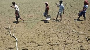 scientific drought mitigation Five districts selected for drought relief mumbai