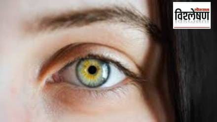 Discovery of a new color never seen by human eyes What does this Olo color look like