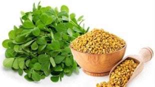 Fenugreek: Benefits and effects