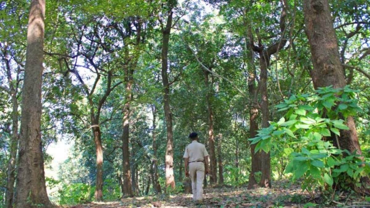 weapons for wildlife officers Maharashtra Maharashtra government forest vehicles