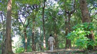 weapons for wildlife officers Maharashtra Maharashtra government forest vehicles