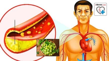 Health Benefits of Gooseberries