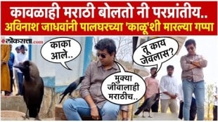 Avinash Jadhav Meets Palghar Speaking Crow