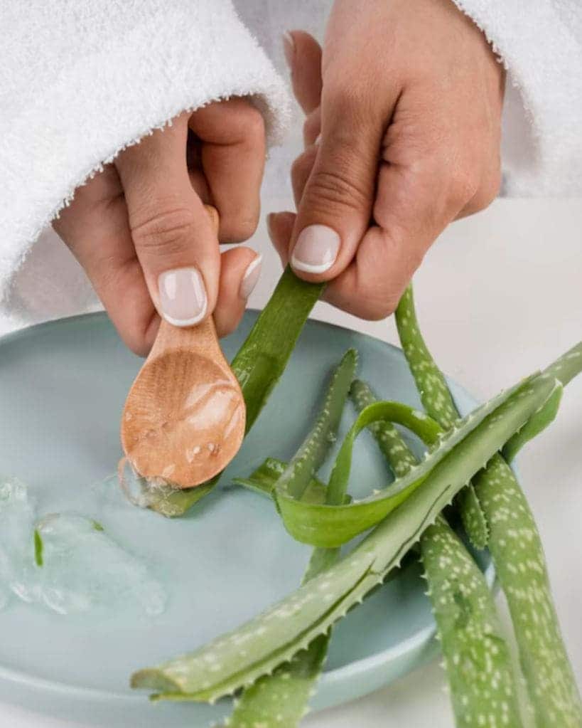 aloe vera for skincare
