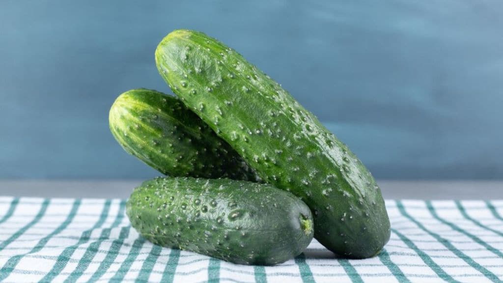 cucumber | cucumber benefits | how to choose sweet cucumber | cucumber buying tips | cucumber buying tricks | kadwa kheera pahchanne ke upay
