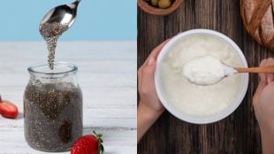 benefits of curd chia seeds