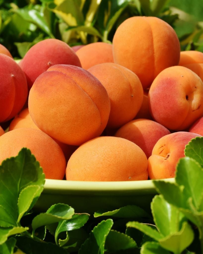 benefits of eating peach in gujarati