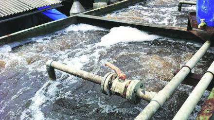 Opposition to the proposed sewage project at Diwanman vasai news
