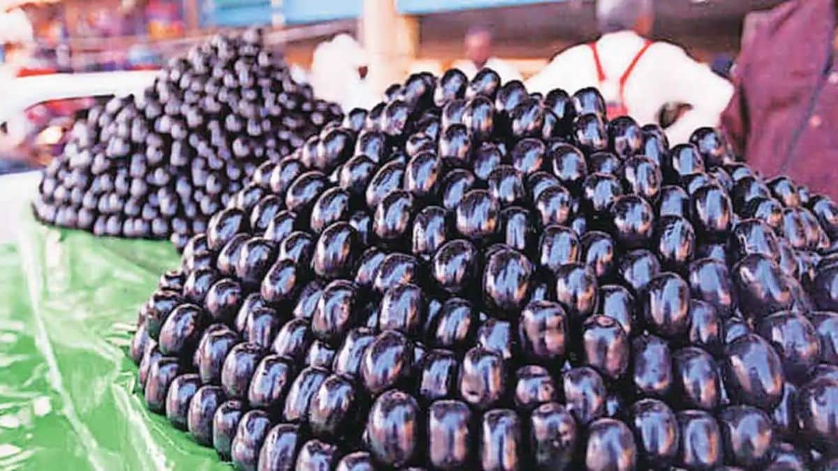 Jambhul from Konkan in Pune market