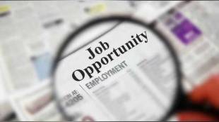 Job Opportunity Junior Research Fellowship