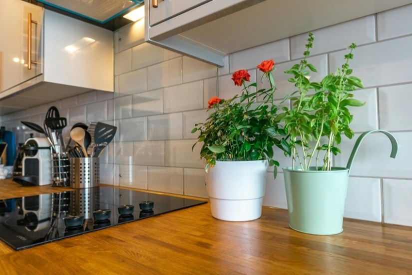 Cancer causing kitchen items