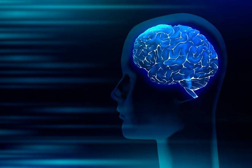 diet to increase memory power