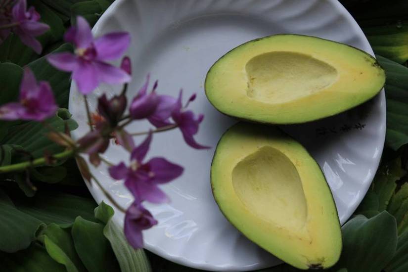 foods that increase memory power
