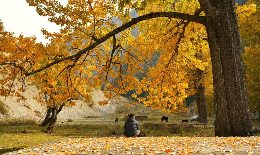 Jammu Kashmir Tourism