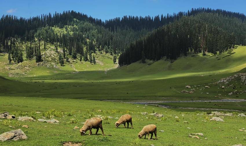 Jammu Kashmir Places to visit