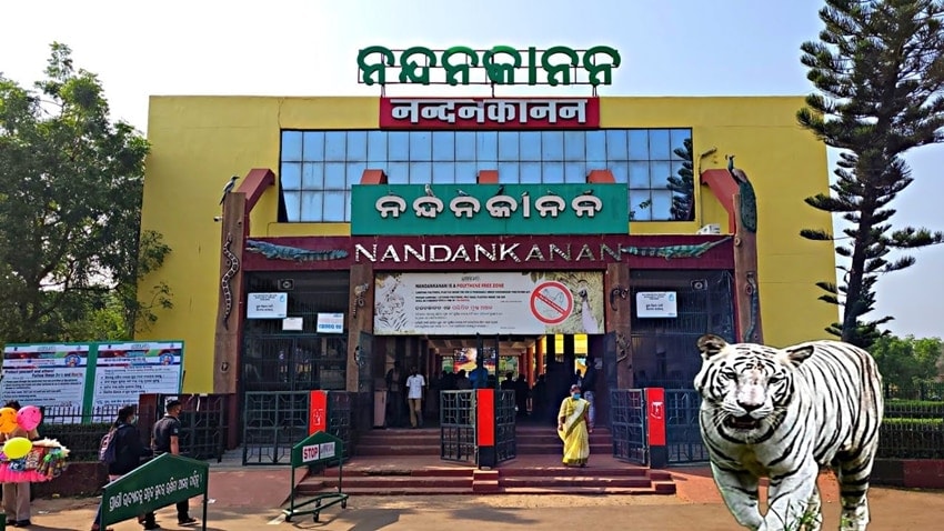 Nandankanan Zoological Park, Odisha
