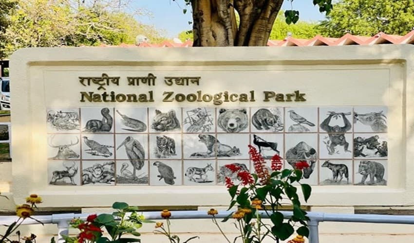 National Zoological Park, Delhi