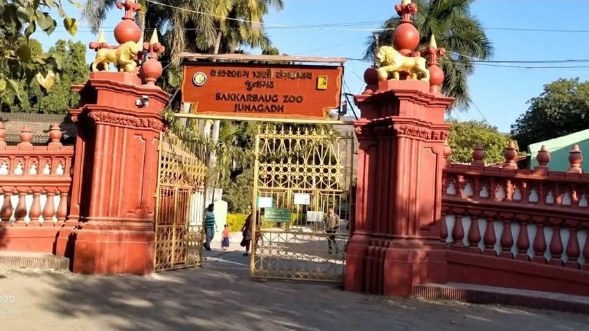 Sakkarbaug Zoological Garden, Gujarat