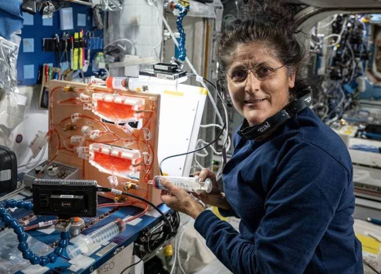 Why Sunita Williams Eats Sandwich