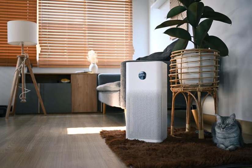 Why use an air purifier