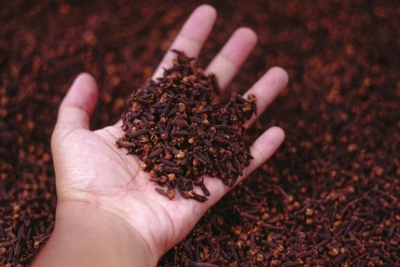 how many cloves to eat in summer