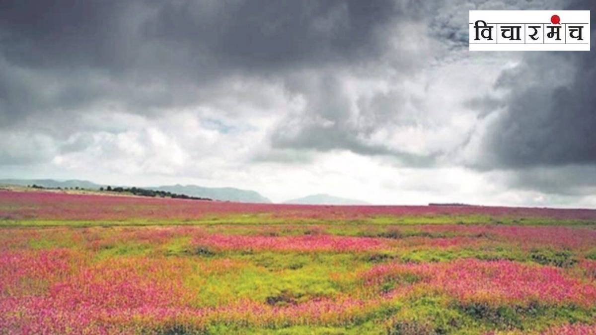 Mahabaleshwar green initiatives article in marathi