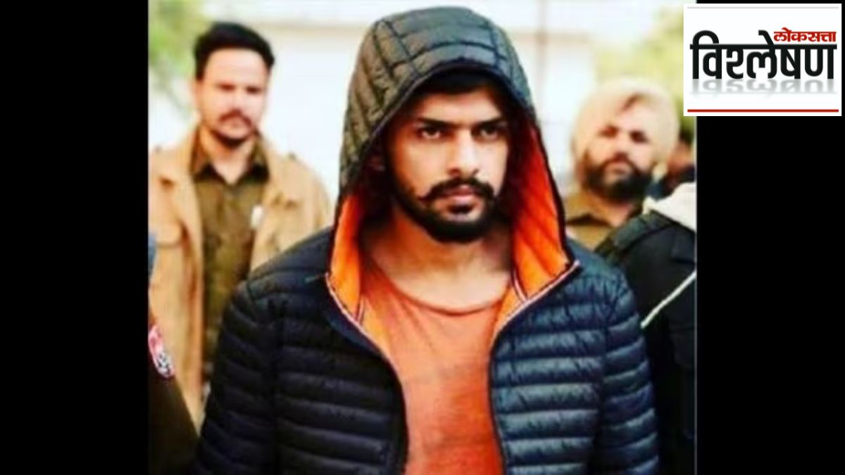 lawrence bishnoi dabba calling network
