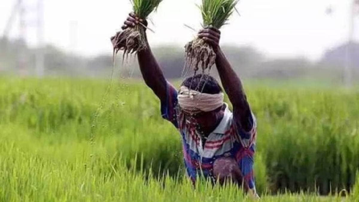 The state government make capital investment of Rs 5,000 crore farming sector