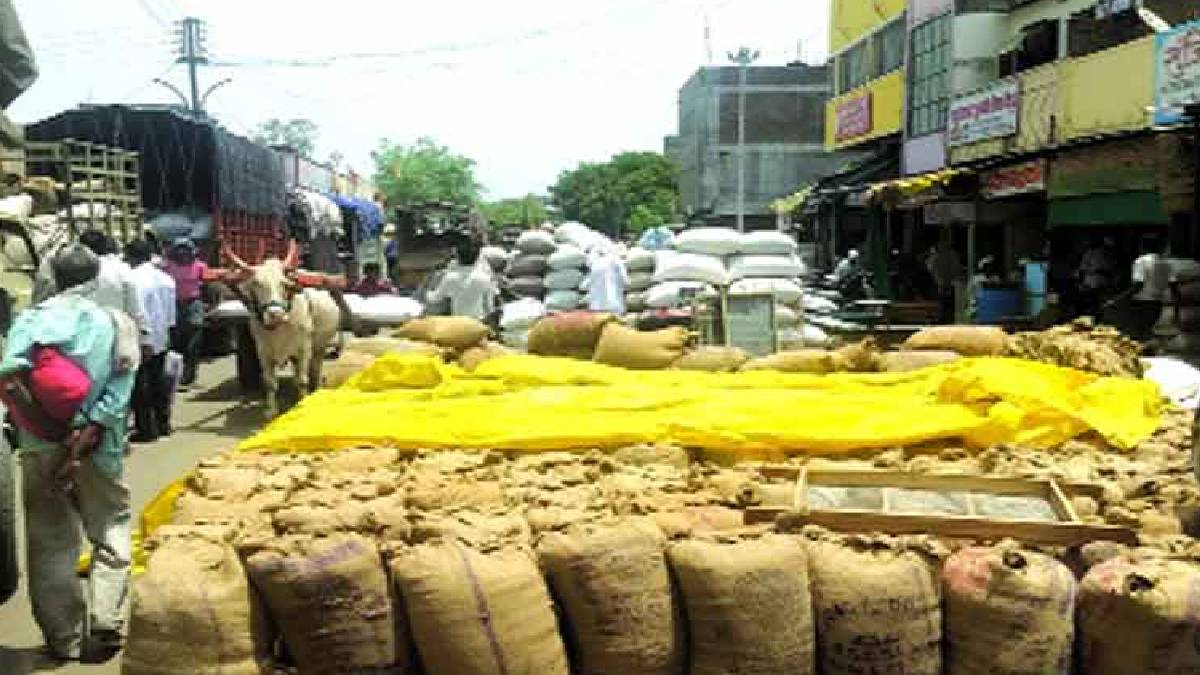 There will be 65 new taluka market committees in the Maharashtra state Mumbai print news