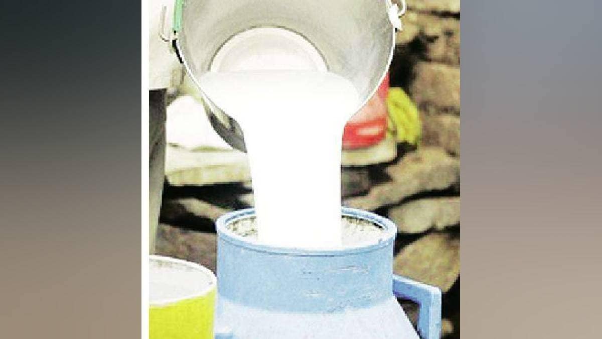 Maharashtra State Cooperative Milk Federation Mahananda is bringing Aarey milk sell in market Mumbai news