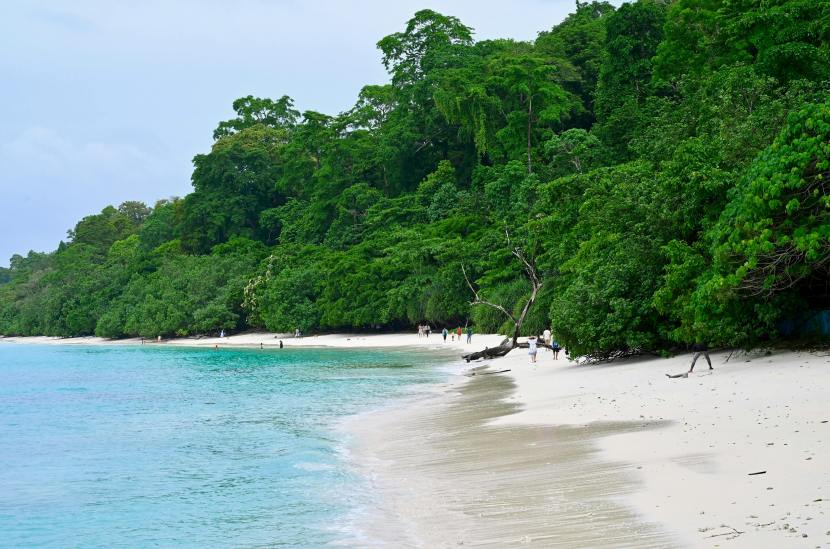 Top 8 Most Beautiful Beaches in India You Must Visit This Summer, From Tarkarli to Radhanagar