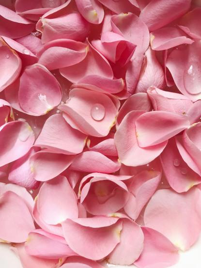 Make These 8 Natural Face Cleansers at Home for Healthy and Glowing Skin