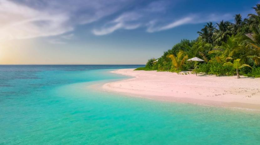 Top 8 Most Beautiful Beaches in India You Must Visit This Summer, From Tarkarli to Radhanagar