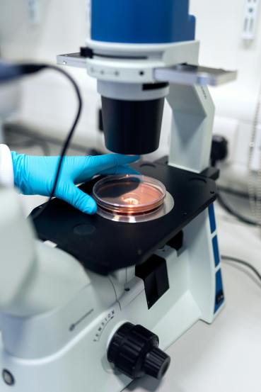 Top 12 Short-Term Science Courses for Instant Job Opportunities in 2025 you want to know about