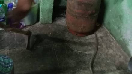 viral video on social media rat snake killing incident Mandivali village dapoli ratnagiri district